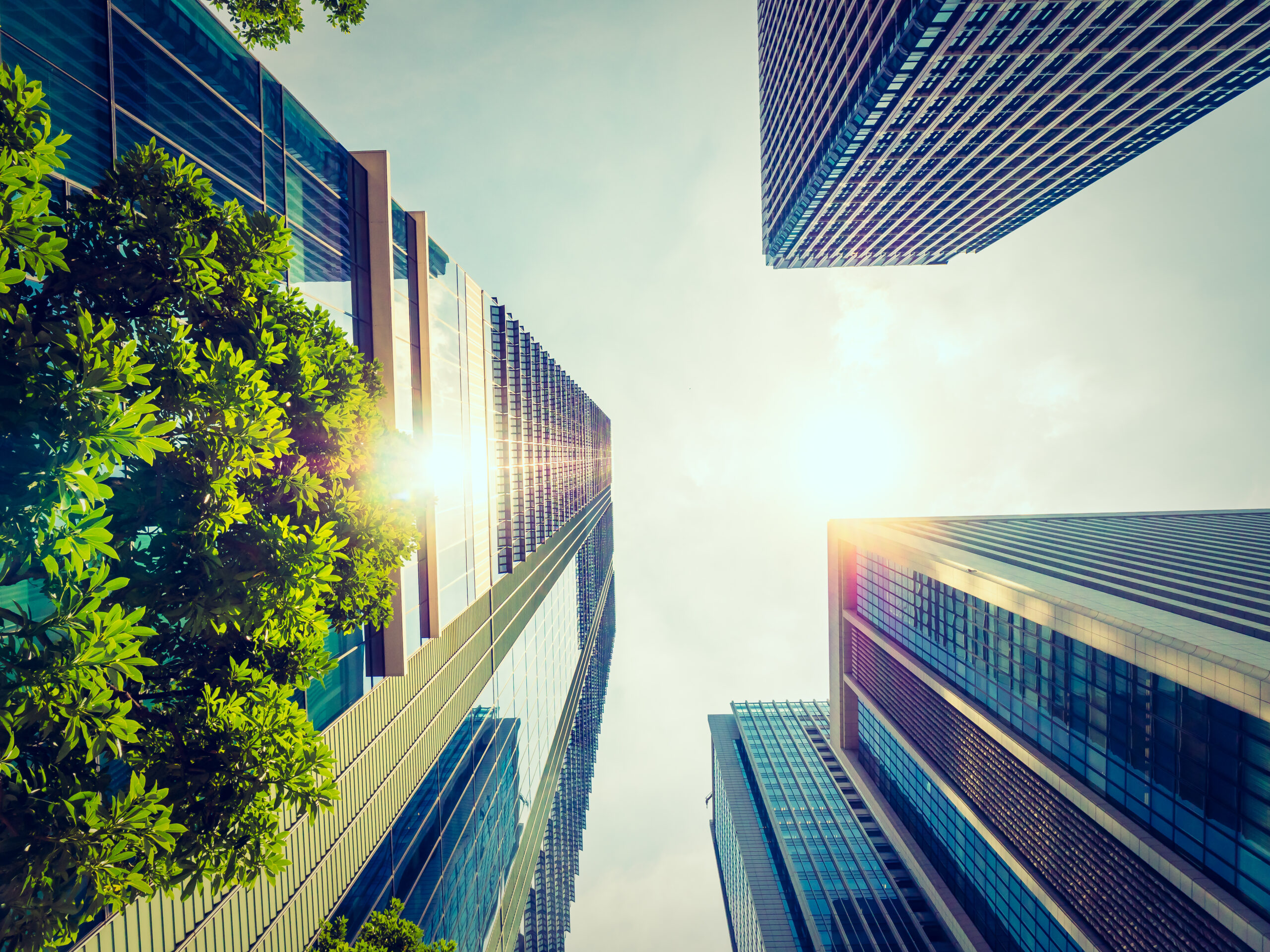 The “S” in ESG – Which HR Data to Measure?